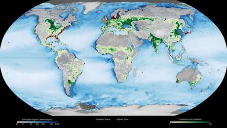 Le aree ipossiche (rosse) tendono ad apparire vicino a grandi aree agricole (verdi) del mondo.