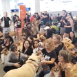 Aeroportos registram atos em protesto pela morte do cão Joca durante viagem