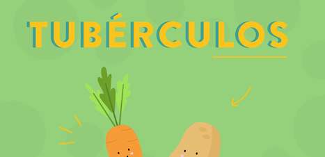 Como oferecer tubérculos para as crianças? Veja 6 receitas apetitosas!