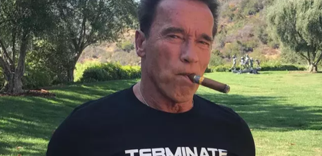 Arnold Schwarzenegger se envolve em grave acidente de carro