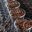 Café: saiba como a cafeína afeta o corpo e quando o consumo vira problema