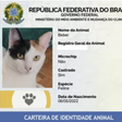 Cães e gatos poderão ter 'RG Animal' após cadastro nacional