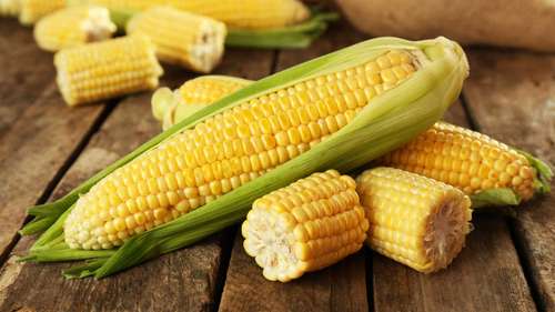 Milho: Cinco Rituais Tradicionais para Atrair Prosperidade Financeira