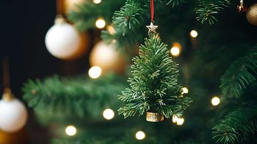 O que os sonhos natalinos revelam sobre sua vida?