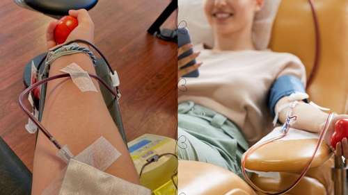 Doar Sangue: Desmistificando o Processo e Ampliando o Impacto Solidário