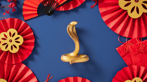 Dezembro: Três Signos Chineses em Rota de Ascensão Financeira Segundo Astrologia Oriental