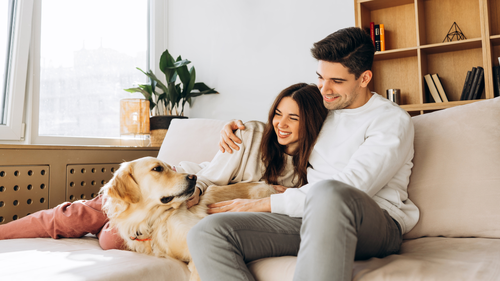 Astrologia Aponta Retorno de Antigos Amores para Quatro Signos Durante as Festas de Fim de Ano