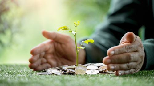 A Tradição da Moeda: Um Ritual Popular para Fomentar a Prosperidade em 2026