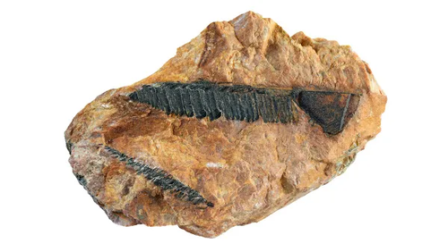 Tório: A Promessa de Energia Limpa e Segura que o Mundo Começa a Explorar