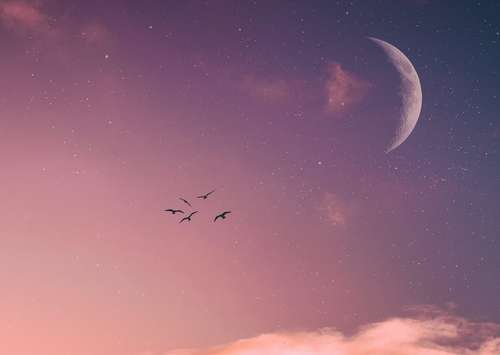 Semana de 18 a 24 de Janeiro: Um Período de Transformações e Descobertas