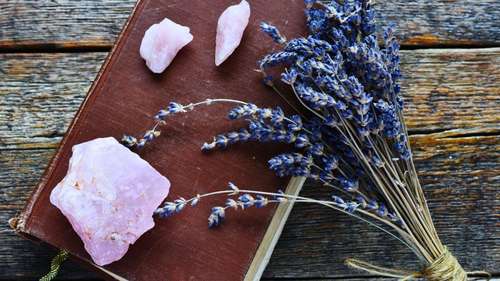 Alfazema: O Poder Protetor das Ervas na Tradição Mística