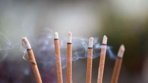 Renove as Energias do Lar: Descubra 4 Incensos para Cultivar um Ambiente Harmonioso