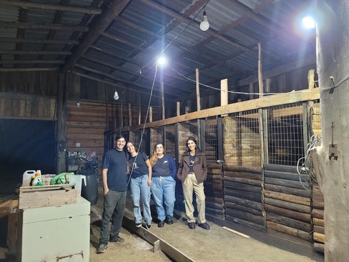 Volunt&aacute;rios que tocam o abrigo e as baias que est&atilde;o montando, dentro de uma estrutura coberta, para acolher animais 