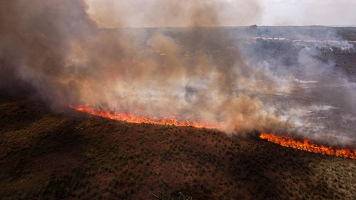 Incêndio consome área de transição entre campo e floresta amazônica em Manaus, no dia 4 de outubro de 2023