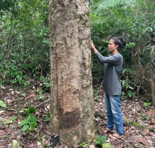 Jovem extrativista relata dificuldades de sua comunidade em meio às mudanças climáticas