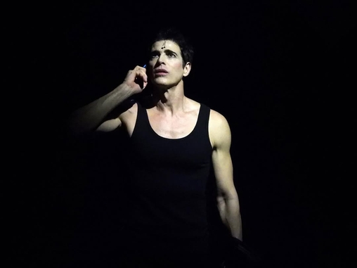 Reynaldo Gianecchini, ator