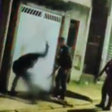 PMs espancam homem com chutes e golpes de cassetete durante abordagem em SP