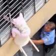 Criança é resgatada após ficar pendurada em grade de janela do 12º andar