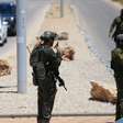 Ataques a tiros deixam um morto e cinco feridos no centro de Israel
