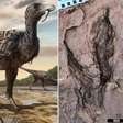 Cientistas encontram pegadas gigantescas de um novo tipo de dinossauro