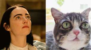 Conheça Winky, a gata 'influencer' comparada com Emma Stone