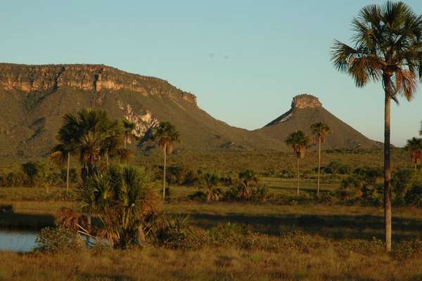 Jalapão, na serra do Espírito Santo é um dos pontos onde são encontradas espécies com frequência | Foto: Divulgação