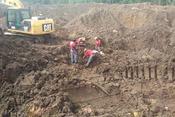 Vale recebeu alerta anônimo 2 semanas antes de Brumadinho