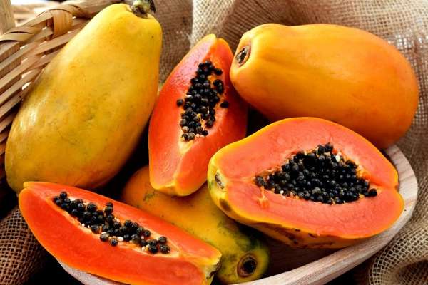 Mamão: 9 benefícios dessa fruta cheia de nutrientes