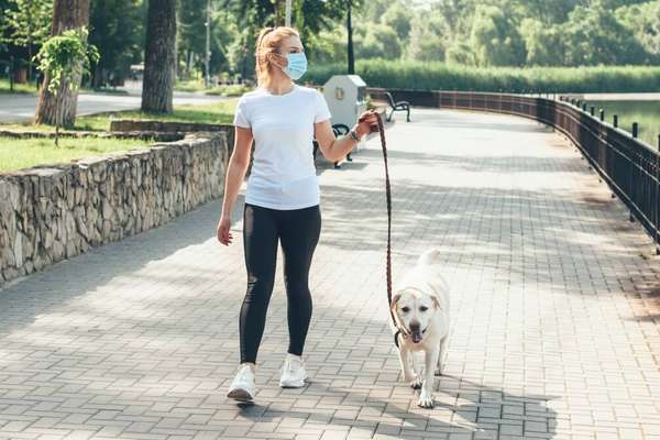 Caminhada de 10 minutos por dia pode deixar a vida mais longa, diz estudo