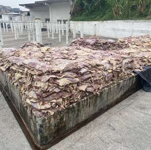 Polícia apreende toneladas de carne estragada que seriam vendidas por fábrica