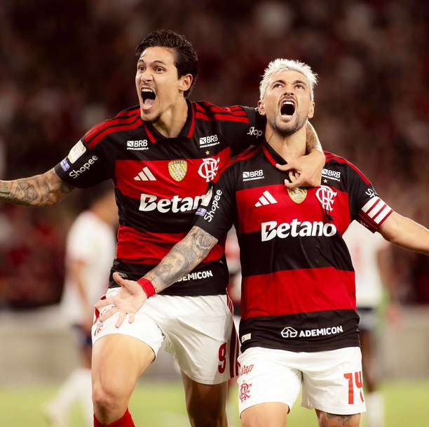 Probabilidade de Flamengo ser campeão brasileiro é de 49%; Palmeiras tem 41%, aponta UFMG