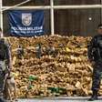 PM apreende quase 50 toneladas de maconha em bunker no Complexo da Maré