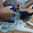 'Gato traficante' é capturado carregando drogas para presídio na Costa Rica