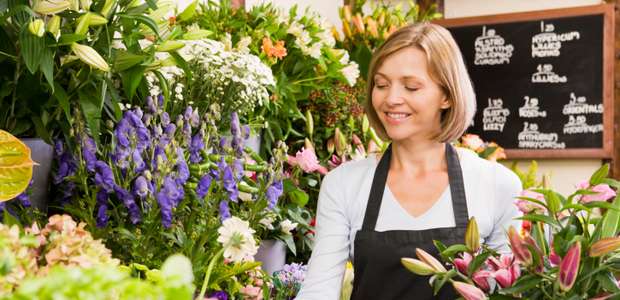 Pesquisa: jardineiros e floristas são os profissionais ...