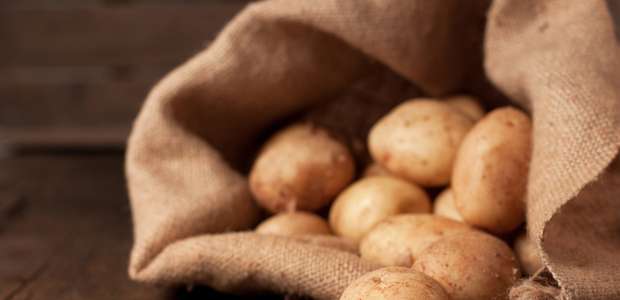 Para duplicar faturamento, McCain mira mercado brasileiro