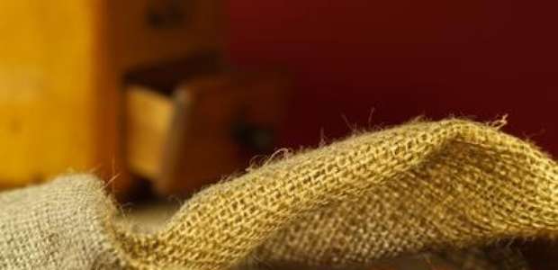 Expocafé apresenta novas cultivares resistentes à ferrugem