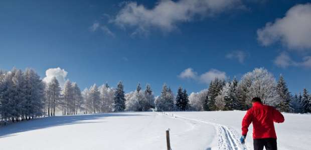 Veja quais são as estações e quanto custa esquiar na Europa