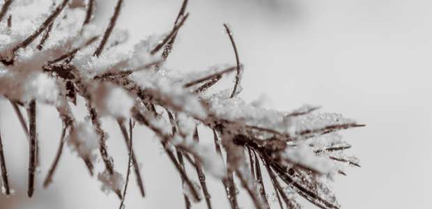 Qual foi a temperatura mais fria já registrada na Terra?