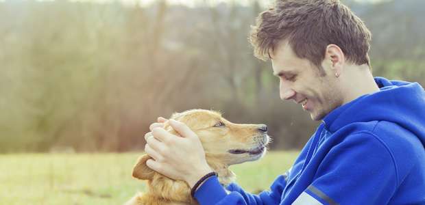Cães: ensinamentos espirituais de força e razão de existir