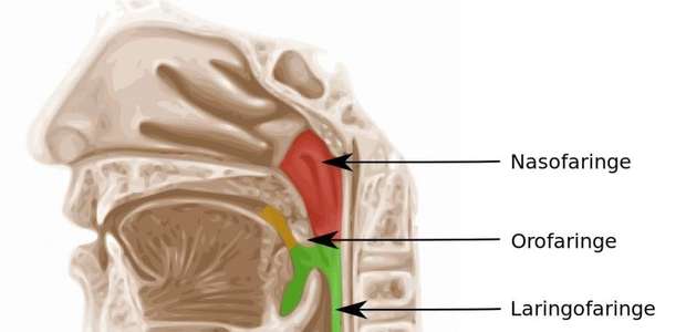 Aumentan los casos de mujeres con cáncer de orofaringe ...