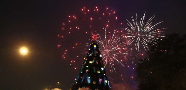 Árvore de Natal do Ibirapuera será inaugurada no dia 26