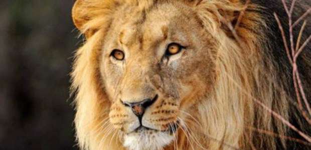 Tabela do IR está defasada em 83% desde 1996, diz sindicato