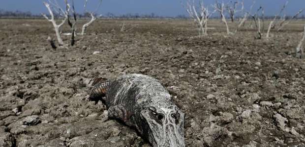 Terra pode aquecer até 5° C neste século, diz estudo