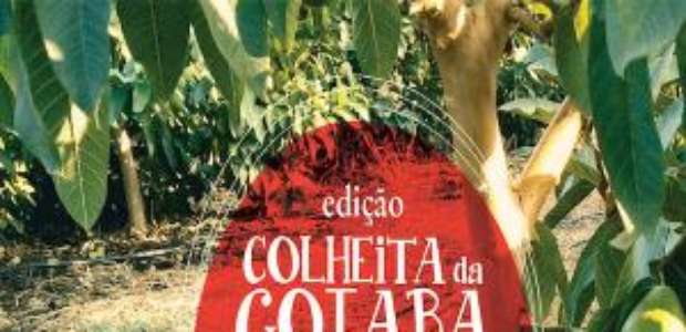 "Slow Farm - Colheita da Goiaba"