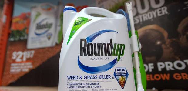 Glifosato: decisão da justiça americana associa ...