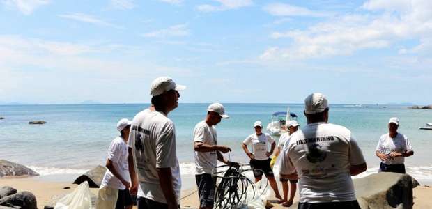 Operação contra lixo marinho acha golfinho morto em ...