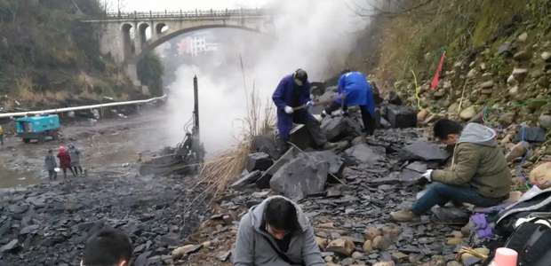 53 novas espécies encontradas em nova "mina" de fósseis ...