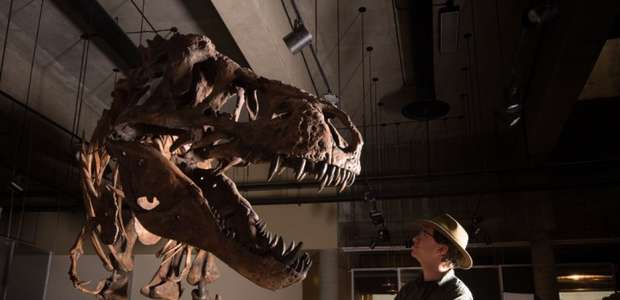 Tiranossauro Rex encontrado no Canadá em 1991 é o maior ...