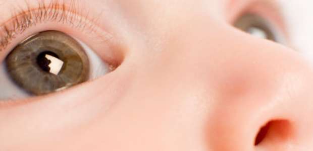 Foto de celular pode prevenir cegueira infantil