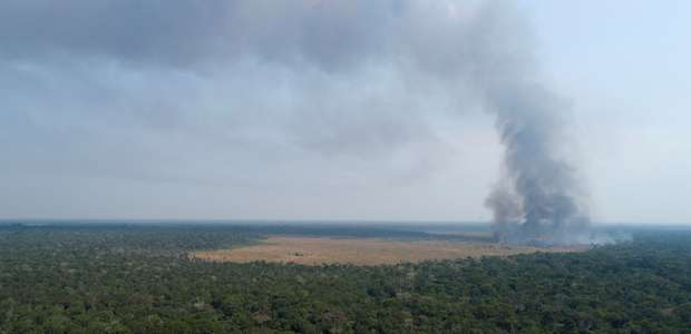 Embaixador chama reação sobre Amazônia de "histeria ...